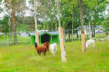 Similar image 21774481