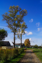 Similar image 21774593