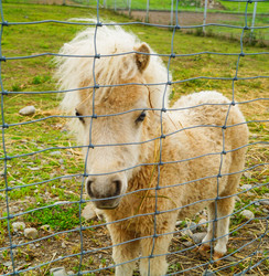 Similar image 21774594