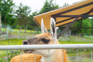 Similar image 21774597