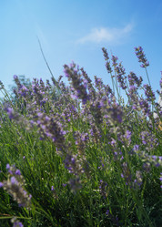 Similar image 21774016