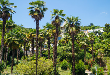 Similar image 21774017