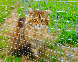 Similar image 21774482