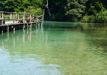 Similar image 21774484