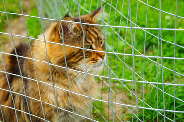 Similar image 21774485