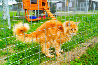 Similar image 21774489