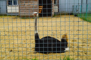 Similar image 21774493