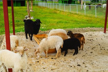 Similar image 21774499