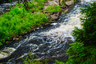 Similar image 21774500