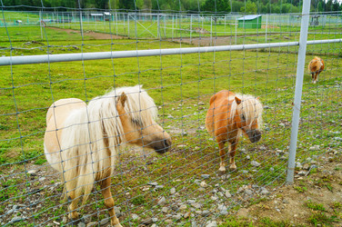 Similar image 21774505