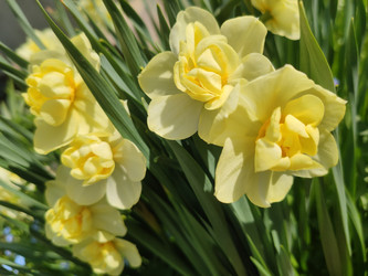 Similar image 21774506