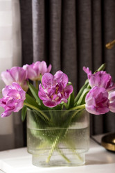 Similar image 21774066