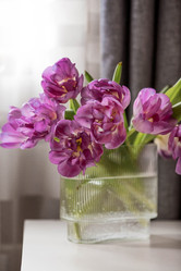 Similar image 21774067