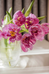 Similar image 21774068