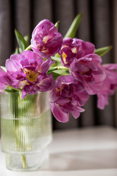 Similar image 21774069