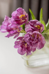 Similar image 21774072