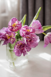 Similar image 21774073