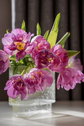 Similar image 21774076