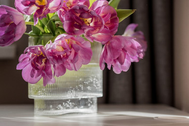 Similar image 21774077