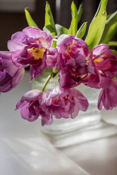 Similar image 21774078