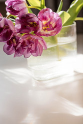 Similar image 21774079