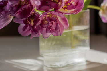 Similar image 21774080