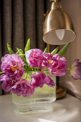 Similar image 21774082