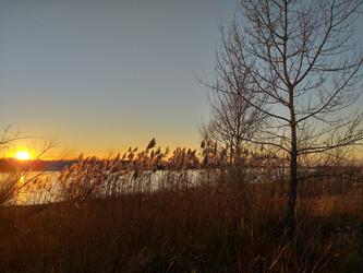 Similar image 21774099