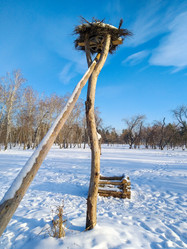 Similar image 21774111