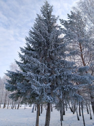 Similar image 21774117