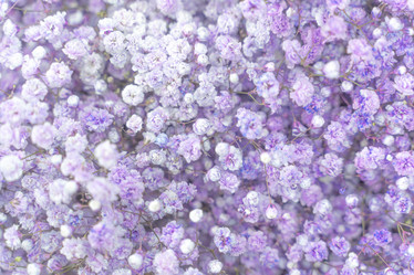 Similar image 21774608