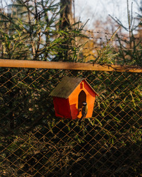 Similar image 21774616