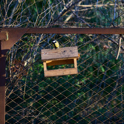 Similar image 21774646