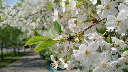 Similar image 21774126