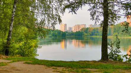 Similar image 21774130