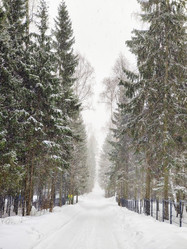 Similar image 21774133