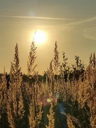 Similar image 21774134