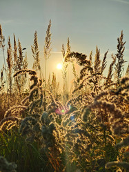 Similar image 21774135