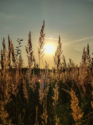 Similar image 21774136