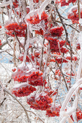 Similar image 21774137