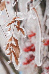 Similar image 21774138