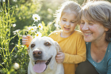 Similar image 21776747