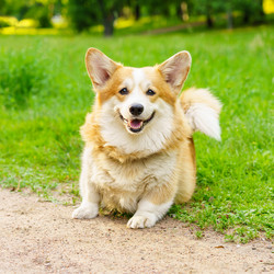 Similar image 21774674