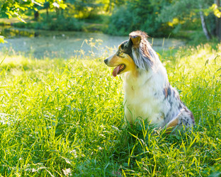 Similar image 21774681