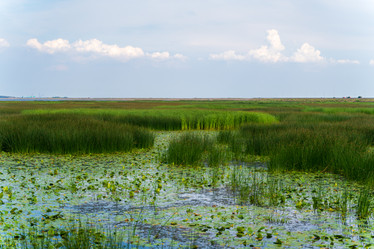 Similar image 21774687