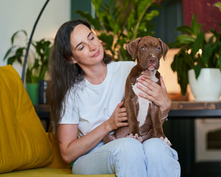 Similar image 21774695