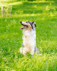 Similar image 21774708