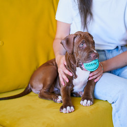 Similar image 21774711