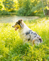 Similar image 21774717