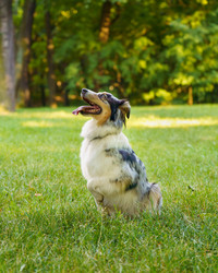 Similar image 21774719